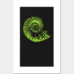 Fossil hunter gift idea - paleontologists fossil Ammonite Posters and Art